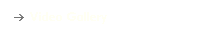 Video Gallery